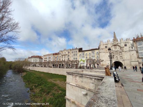 Local en alquiler junto a La Catedral. - BURGOS