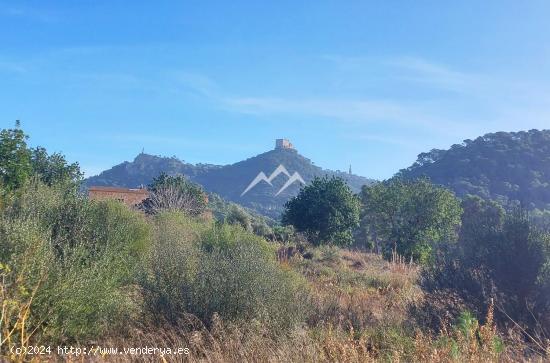 Lote de tres terrenos de 10 Ha, uno de ellos edificable, en Felanitx - BALEARES