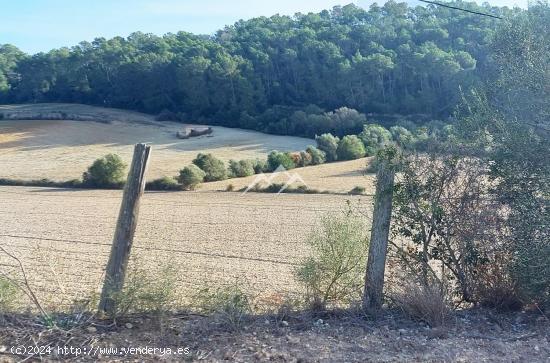 Terreno edificable de 16.931 m2 en lugar pintoresco en Sant Joan - BALEARES