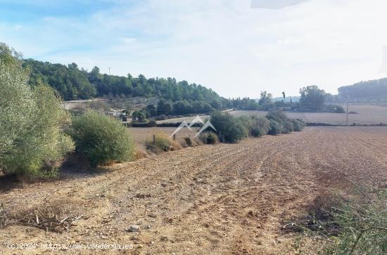 Terreno edificable de 16.931 m2 en lugar pintoresco en Sant Joan - BALEARES