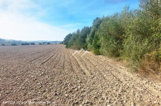 Terreno edificable de 16.931 m2 en lugar pintoresco en Sant Joan - BALEARES