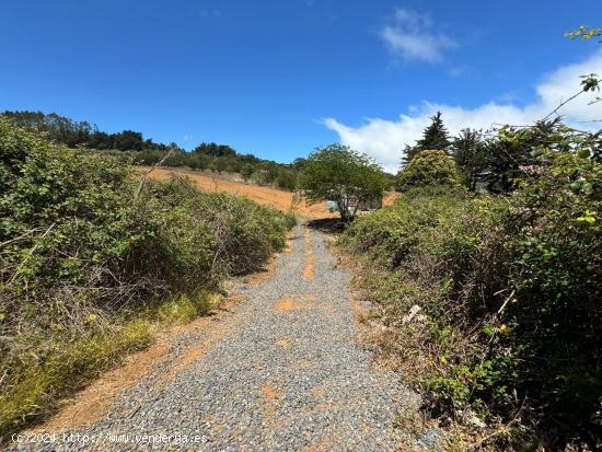 Suelo rústico de 3.381m2: Siembre sus sueños y coseche el éxito. - SANTA CRUZ DE TENERIFE