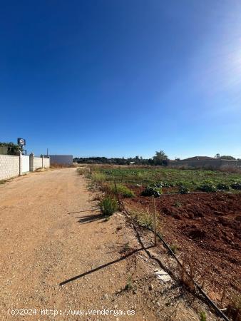 PARCELA PINAR DE LOS FRANCESES - CADIZ