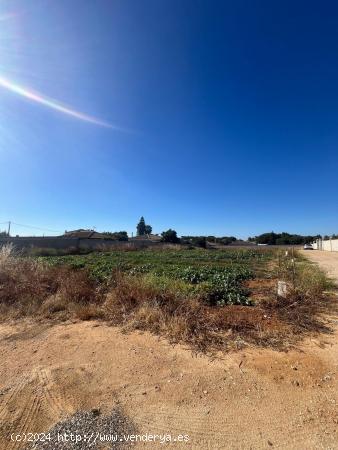 PARCELA PINAR DE LOS FRANCESES - CADIZ