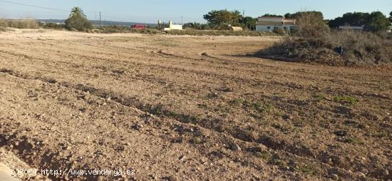 PARCELA PARA CONSTRUIR EN VALVERDE - ALICANTE