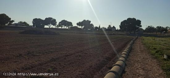 PARCELA PARA CONSTRUIR EN VALVERDE - ALICANTE