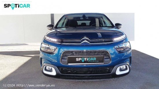 Citroën C4 Cactus  PureTech 81KW (110CV) S&S Feel - Córdoba