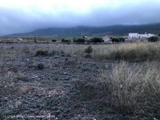 PARCELA EN LA ROMANA - ALICANTE