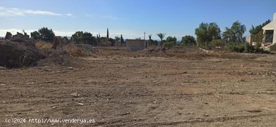  Terreno urbanizable en Elche pedanias zona BUENOS AIRES - ALICANTE 