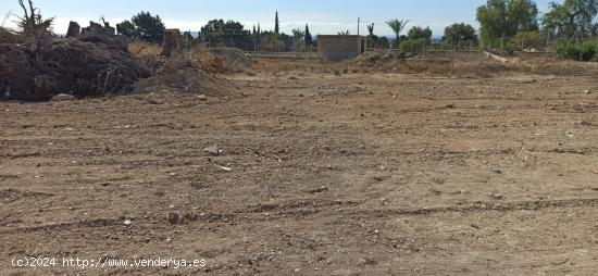 Terreno urbanizable en Elche pedanias zona BUENOS AIRES - ALICANTE