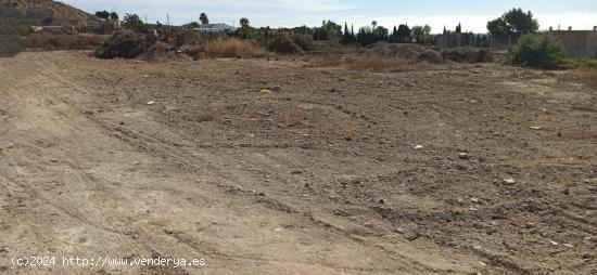 Terreno urbanizable en Elche pedanias zona BUENOS AIRES - ALICANTE