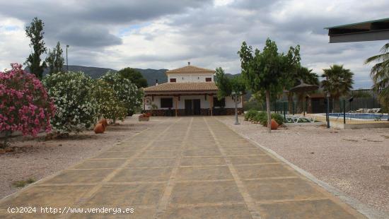  FINCA CON PISCINA EN PLENA NATURALEZA - MURCIA 