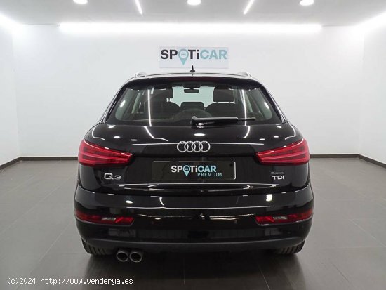 Audi Q3   2.0 TDI 110kW (150CV) Sport edition - València