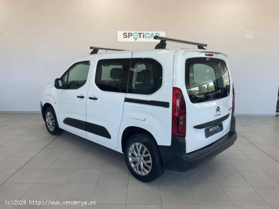 Citroën Berlingo  Talla M BlueHDi 100 S&S Live Pack - Barberà del Vallès