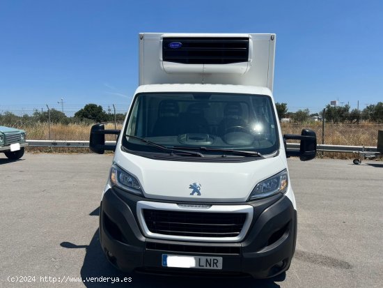 Peugeot Boxer 435 L4 BHDI 103kW 140CV SS camion frigorifico - VILLANUEVA DE CORDOBA