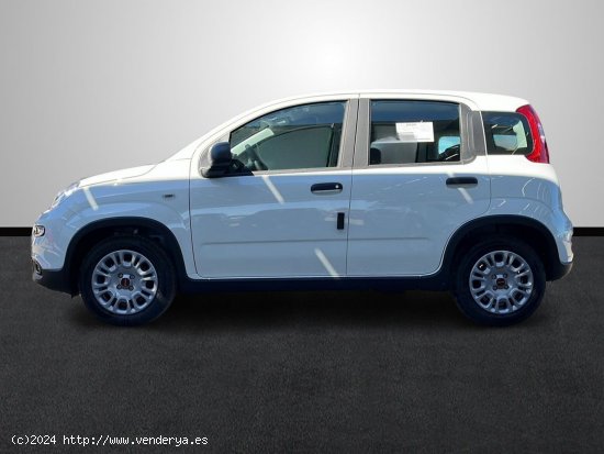 Fiat Panda 1.0 Hybrid 70 CV - Sevilla