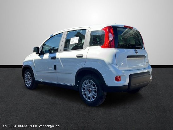 Fiat Panda 1.0 Hybrid 70 CV - Sevilla