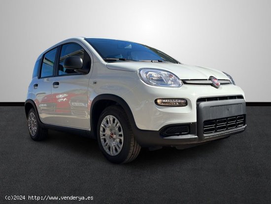 Fiat Panda 1.0 Hybrid 70 CV - Sevilla