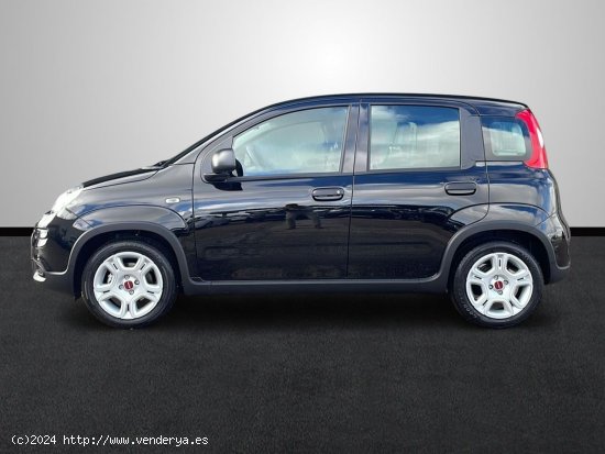 Fiat Panda 1.0 Hybrid 51KW (70 CV) - Sevilla