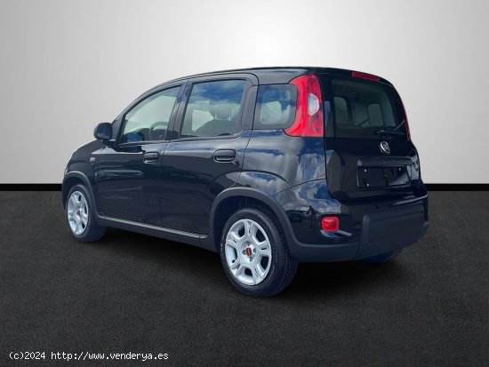 Fiat Panda 1.0 Hybrid 51KW (70 CV) - Sevilla