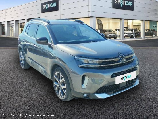 Citroën C5 Aircross  BlueHdi 96kW (130CV) S&S EAT8 Shine Pack - Los Barrios