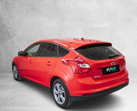 Ford Focus 1.6 TDCi 115cv Edition - Huesca