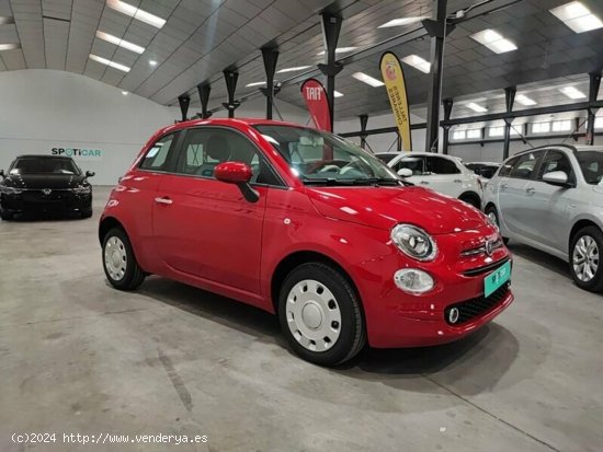 Fiat 500 1.0 Hybrid 70cv Monotrim - Albacete