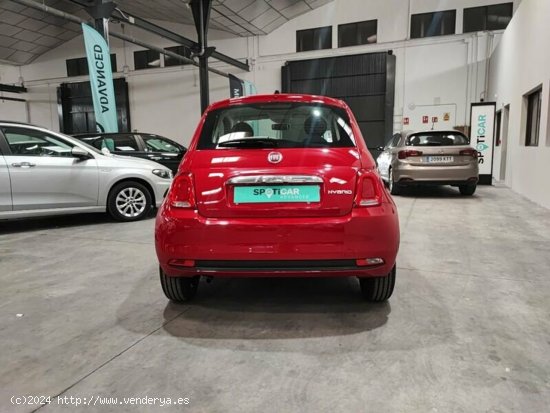 Fiat 500 1.0 Hybrid 70cv Monotrim - Albacete