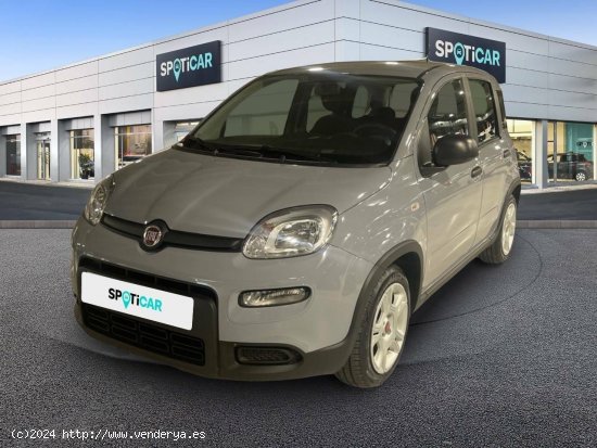 Fiat Panda  Panda Hybrid 1.0 51kw+Pack Comfort Plus - - Sabadell