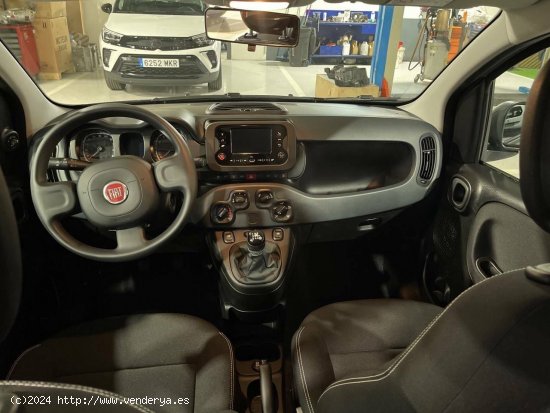 Fiat Panda  Panda Hybrid 1.0 51kw+Pack Comfort Plus - - Sabadell