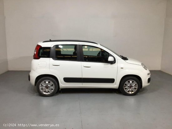 Fiat Panda 1.2 LOUNGE EU6 5P - 