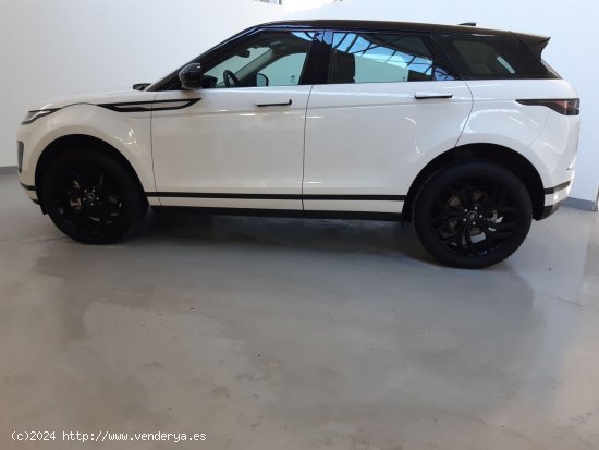 Land-Rover Range Rover D160 MHEV AWD S AUTO - 