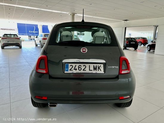 Fiat 500 1.0 HYBRID LOUNGE 70 CV - Zaratán