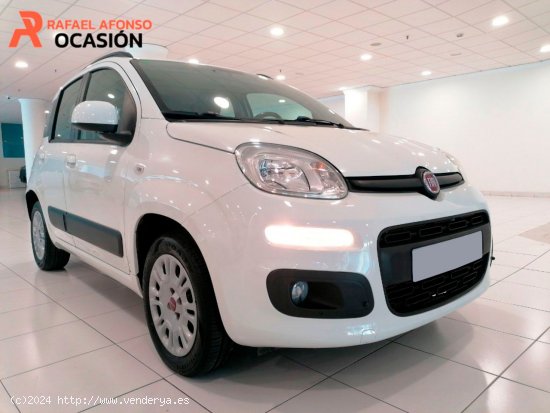 Fiat Panda 1.2 Lounge 51kW (69CV) - Santa Cruz de Tenerife