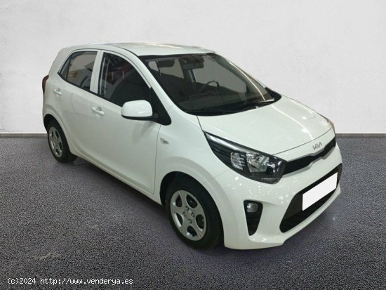  Kia Picanto 1.0 DPi 49kW (67CV) Concept CLEAR WHITE - Castellón 