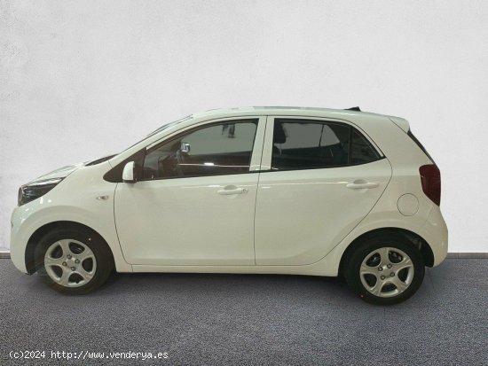 Kia Picanto 1.0 DPi 49kW (67CV) Concept CLEAR WHITE - Castellón