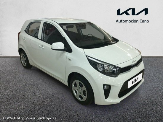  Kia Picanto 1.0 DPi 49kW (67CV) Concept CLEAR WHITE - València 