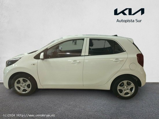 Kia Picanto 1.0 DPi 49kW (67CV) Concept CLEAR WHITE - Valencia