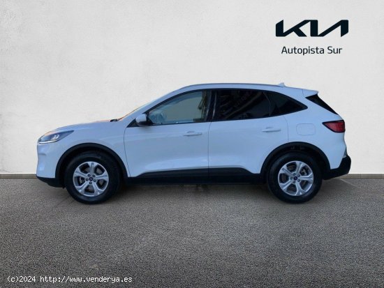 Ford Kuga Trend 1.5 EcoBoost 88kW (120CV) - Valencia