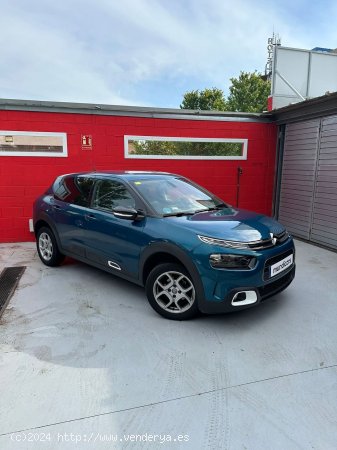 Citroën C4 Cactus PureTech 110 S&S Shine - Granollers