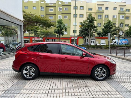 Ford Focus  1.0 Ecoboost AutoSt.St. 125cv Trend - Tamaraceite