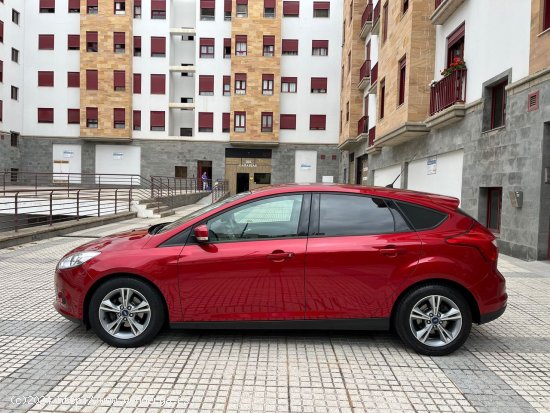 Ford Focus  1.0 Ecoboost AutoSt.St. 125cv Trend - Tamaraceite