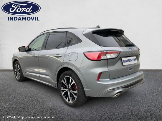 Ford Kuga Nuevo St-line X 2.5 Duratec Fhev 140kw (190cv) Hf-45 Aut. E6.2 - Huércal de Almería