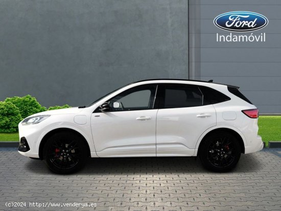 Ford Kuga Nuevo St-line X 2.5 Duratec Phev 165kw(225cv)automatico Hf-45 E6.2 - Huércal de Almería