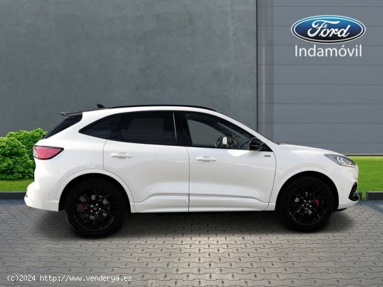 Ford Kuga Nuevo St-line X 2.5 Duratec Phev 165kw(225cv)automatico Hf-45 E6.2 - Huércal de Almería