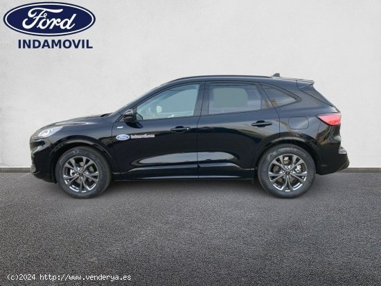 Ford Kuga St-line X 2.5 Duratec Fhev 140kw (190cv) Hf-45 Aut. E6.2 - Huércal de Almería