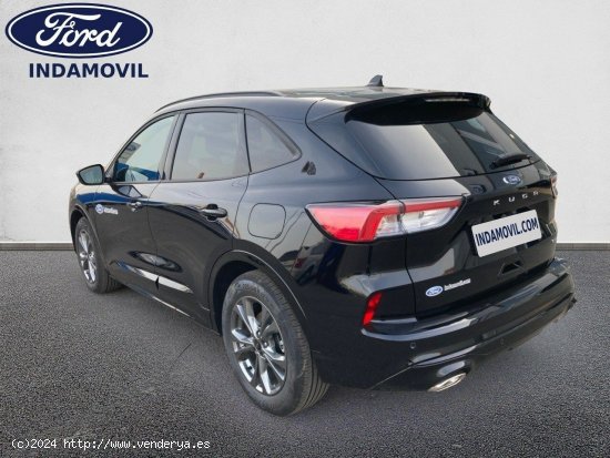 Ford Kuga St-line X 2.5 Duratec Fhev 140kw (190cv) Hf-45 Aut. E6.2 - Huércal de Almería