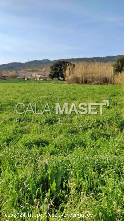 Suelo rústico en venta  en Castell-Platja d Aro - Girona