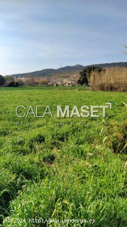 Suelo rústico en venta  en Castell-Platja d Aro - Girona