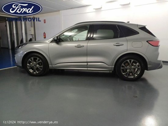 Ford Kuga Hibrido 2.5 Duratec Fhev St-line 4x2 Aut. - Huércal de Almería